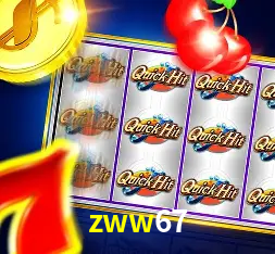 Interface Premium zww67