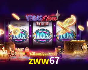 Flash Promotion zww67